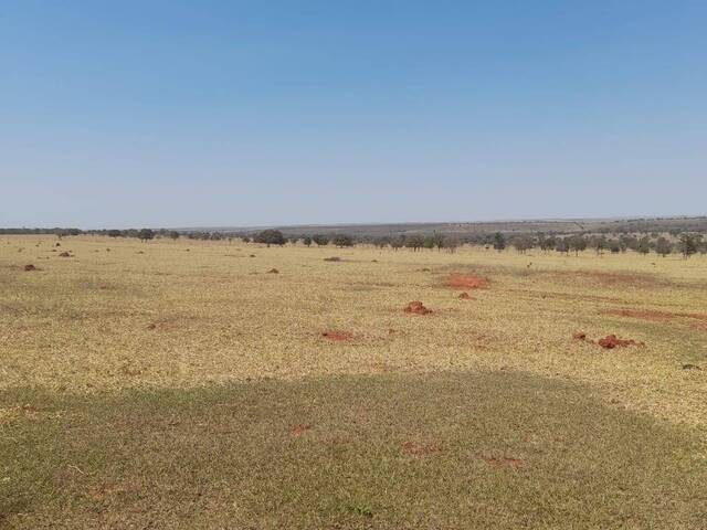 #2471 - Fazenda para Venda em Camapuã - MS - 3