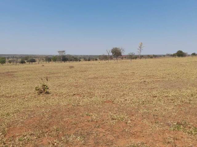 #2471 - Fazenda para Venda em Camapuã - MS - 1