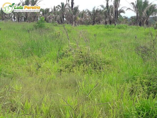 Venda em Zona Rural - Recursolândia