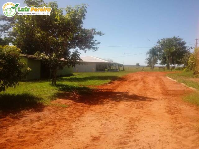 #2473 - Fazenda para Venda em Ribas do Rio Pardo - MS - 3