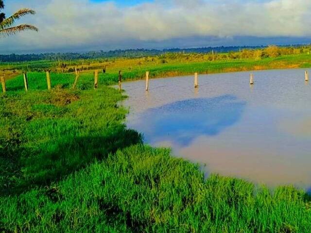 #2474 - Fazenda para Venda em Brasil Novo - PA - 2