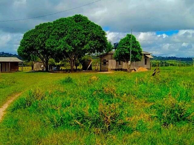 #2474 - Fazenda para Venda em Brasil Novo - PA