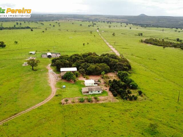 #2477 - Fazenda para Venda em Camapuã - MS - 1