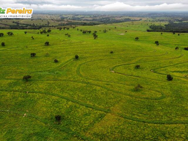 #2477 - Fazenda para Venda em Camapuã - MS - 3