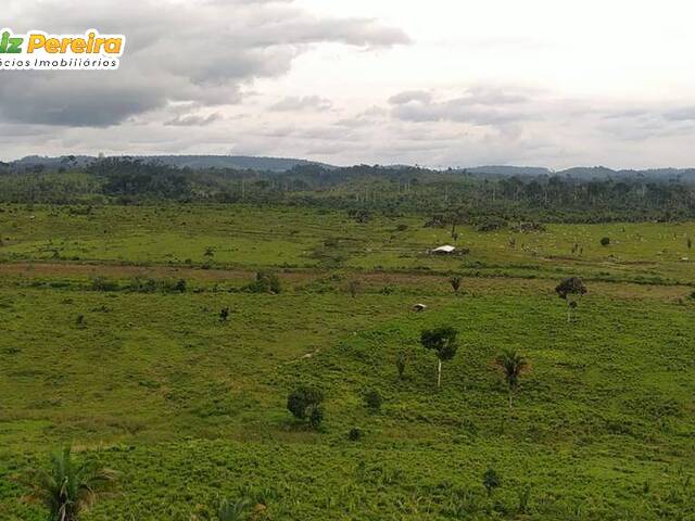 #2479 - Fazenda para Venda em Anapu - PA