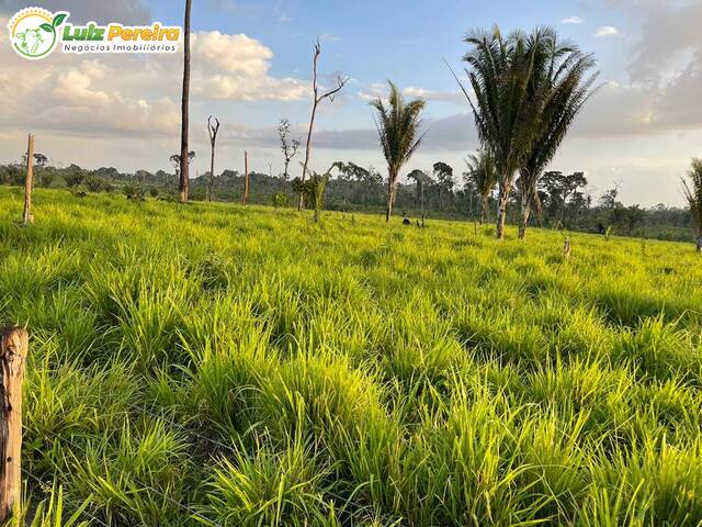 #2479 - Fazenda para Venda em Anapu - PA - 2