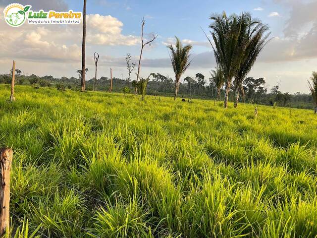 #2479 - Fazenda para Venda em Anapu - PA - 2