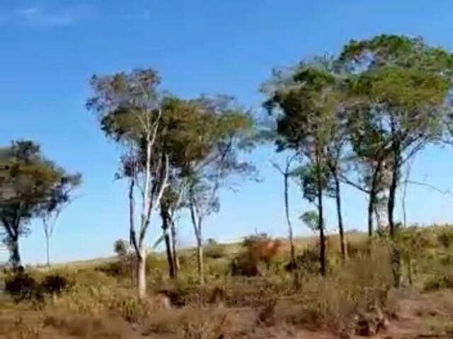 #2480 - Fazenda para Venda em Santa Maria das Barreiras - PA - 3