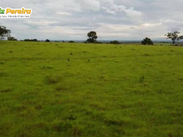 #2480 - Fazenda para Venda em Santa Maria das Barreiras - PA - 1