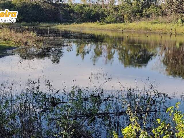 #2484 - Fazenda para Venda em Fernando Falcão - MA - 3