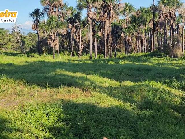 #2484 - Fazenda para Venda em Fernando Falcão - MA - 1