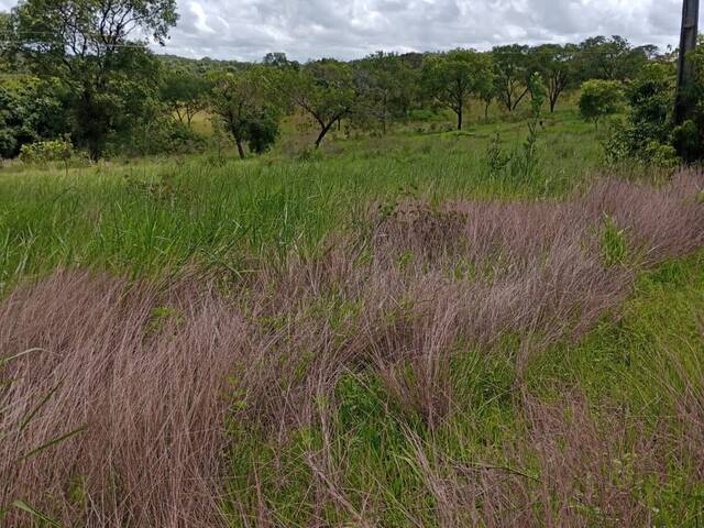 #2488 - Fazenda para Venda em Camapuã - MS - 2