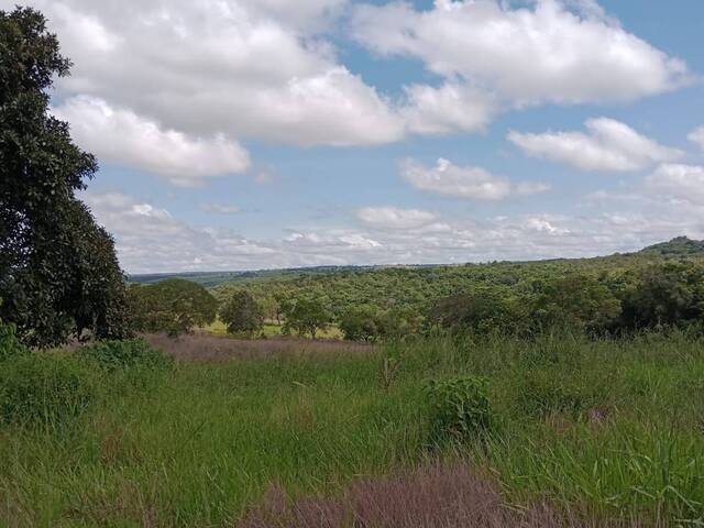 #2488 - Fazenda para Venda em Camapuã - MS