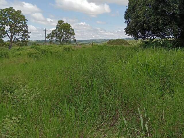 #2488 - Fazenda para Venda em Camapuã - MS - 3