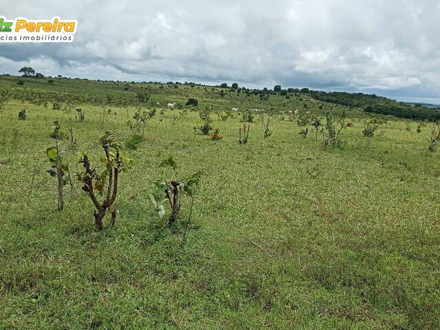 #2492 - Fazenda para Venda em Coxim - MS - 1