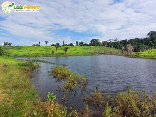 #2493 - Fazenda para Venda em Pacajá - PA - 1