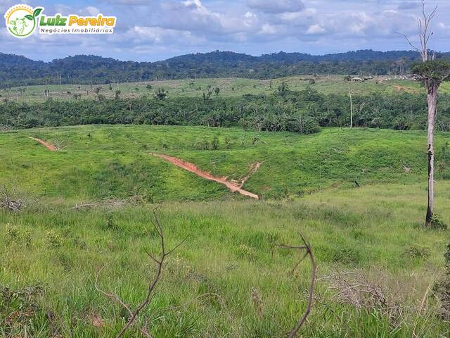 #2493 - Fazenda para Venda em Pacajá - PA - 2