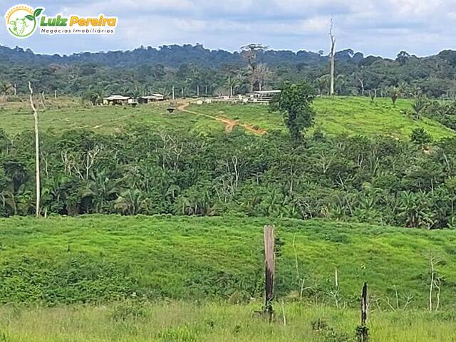 #2493 - Fazenda para Venda em Pacajá - PA - 3