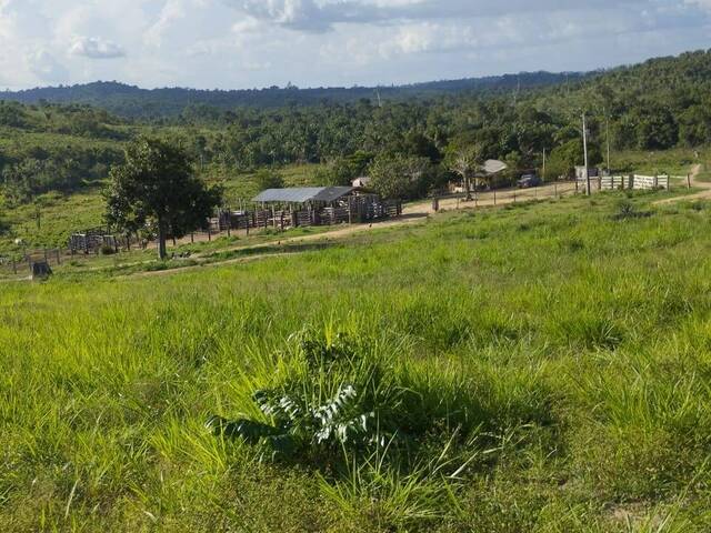 #2494 - Fazenda para Venda em Pacajá - PA