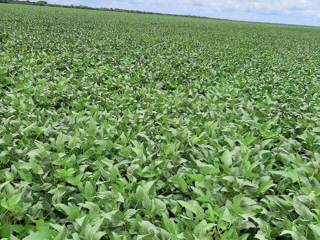 #2496 - Fazenda para Venda em Riachão das Neves - BA