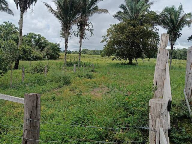 #2497 - Fazenda para Venda em Araguaína - TO - 1