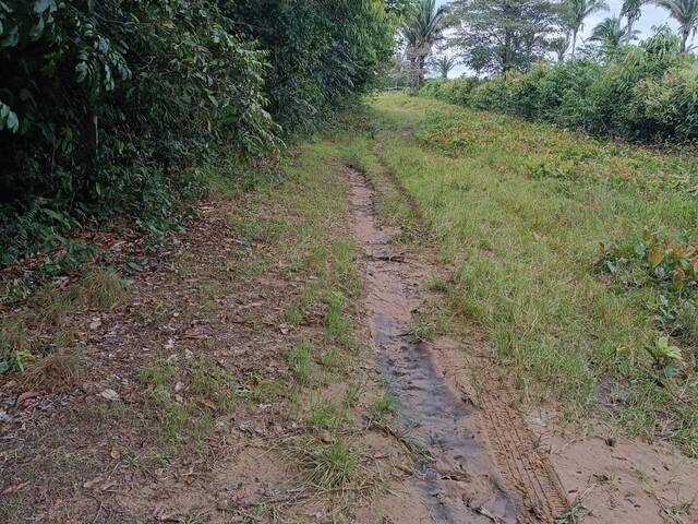 #2497 - Fazenda para Venda em Araguaína - TO - 3