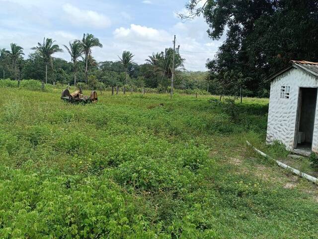 #2497 - Fazenda para Venda em Araguaína - TO - 2