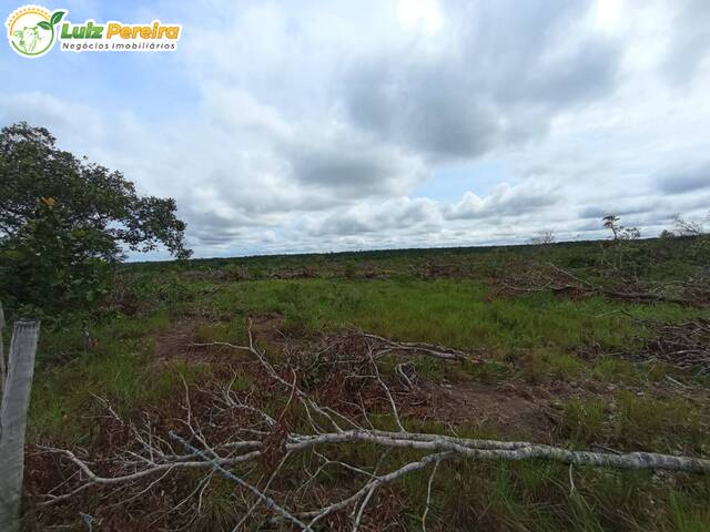 #2498 - Fazenda para Venda em Dois Irmãos do Tocantins - TO - 3