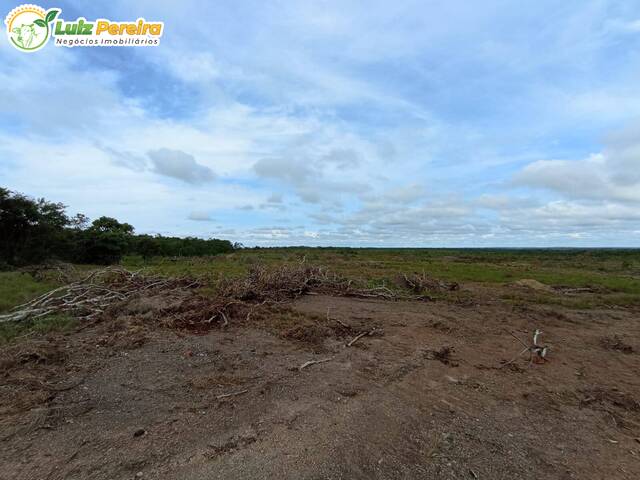 #2498 - Fazenda para Venda em Dois Irmãos do Tocantins - TO - 2