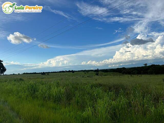 #2499 - Fazenda para Venda em Camapuã - MS - 2