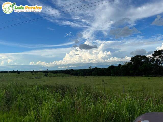 #2499 - Fazenda para Venda em Camapuã - MS