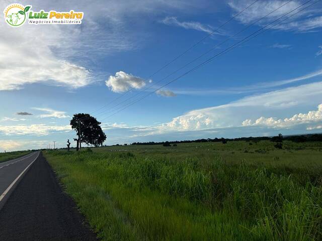 #2499 - Fazenda para Venda em Camapuã - MS - 3