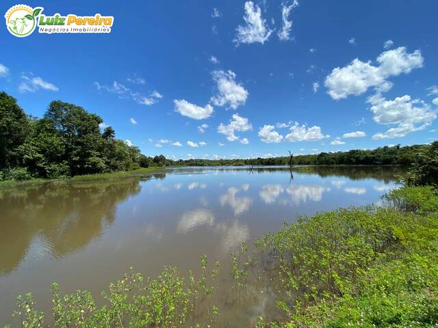 Venda em St. Norte - Peixe