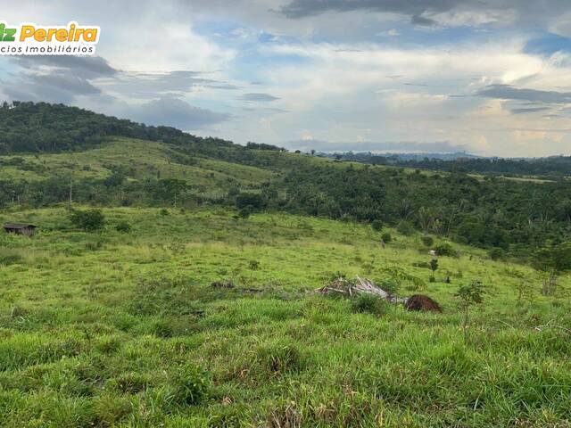 #2504 - Fazenda para Venda em Novo Repartimento - PA - 1