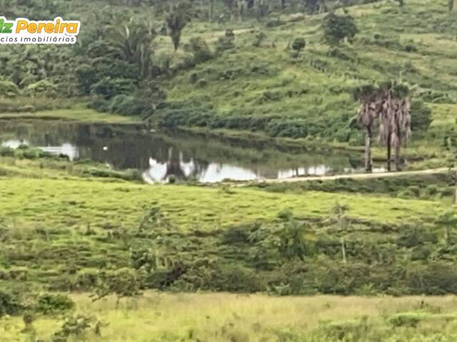 #2504 - Fazenda para Venda em Novo Repartimento - PA - 3