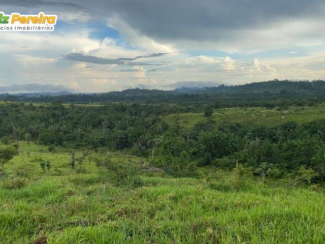 #2504 - Fazenda para Venda em Novo Repartimento - PA - 2