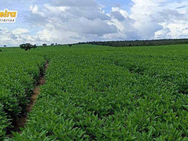 #2505 - Fazenda para Venda em Maracajá - SC