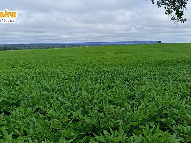 #2505 - Fazenda para Venda em Maracajá - SC - 3