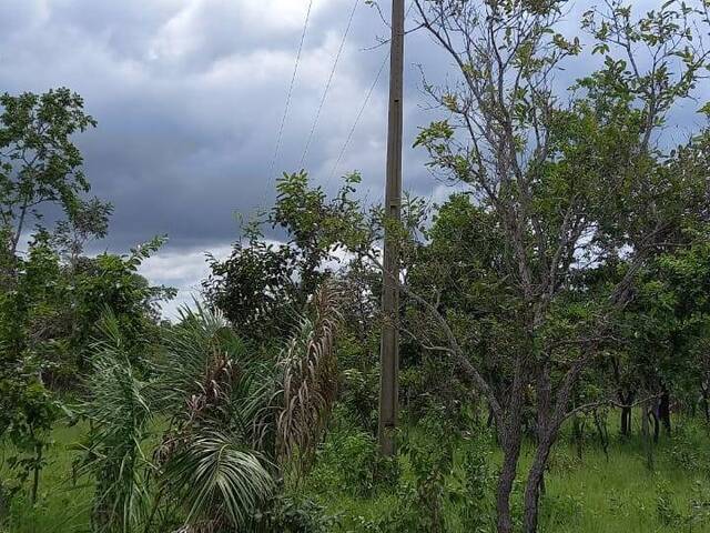 #2510 - Fazenda para Venda em Grajaú - MA - 1