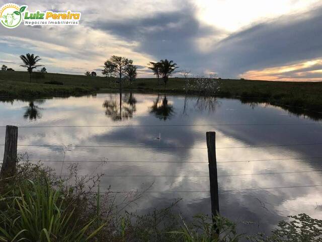 Fazenda para Venda em Marabá - 5