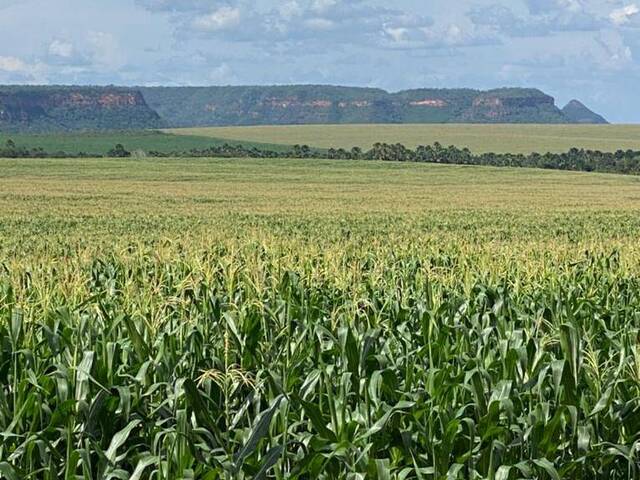 #2512 - Fazenda para Venda em Tasso Fragoso - MA - 1