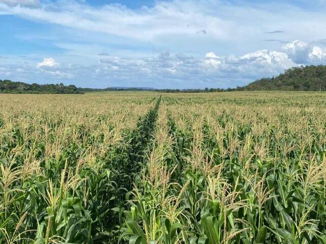 #2512 - Fazenda para Venda em Tasso Fragoso - MA - 3