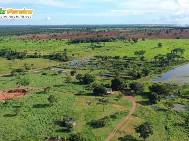 #2516 - Fazenda para Venda em Figueirópolis - TO - 1