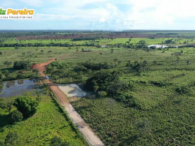 #2516 - Fazenda para Venda em Figueirópolis - TO - 2