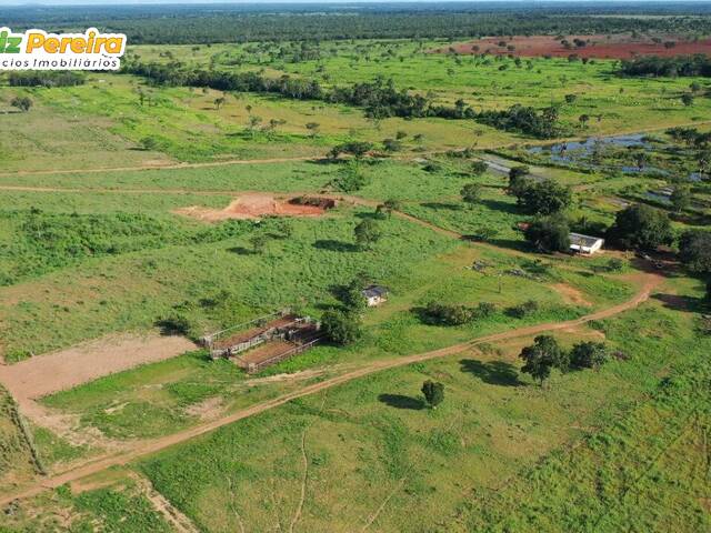 #2516 - Fazenda para Venda em Figueirópolis - TO - 3