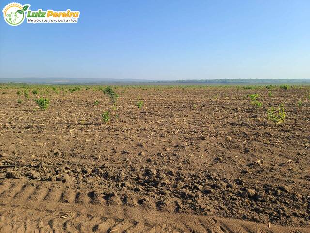 Venda em Zona Rural - Parnarama