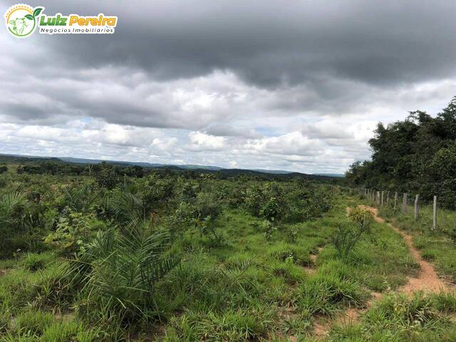 #2521 - Fazenda para Venda em Feira Nova do Maranhão - MA - 3