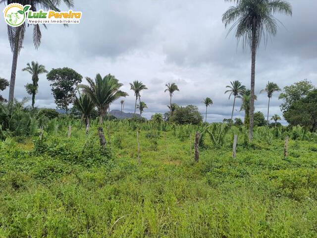 #2523 - Fazenda para Venda em Araguaína - TO - 2