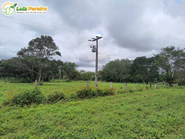 #2523 - Fazenda para Venda em Araguaína - TO - 1