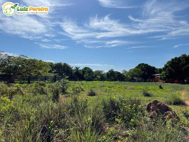 #2522 - Fazenda para Venda em Centenário - TO - 1